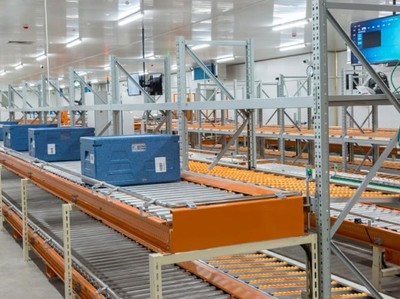 2024中国粽子行业消费趋势与品牌管理战略白皮书